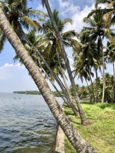 The backwaters of Kochi